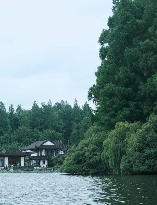 请问哪位前辈知道1月15日的杭州天气如何?