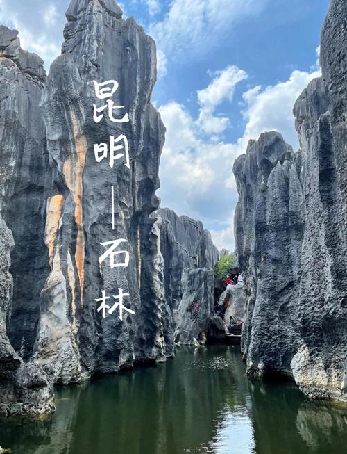 昆明好玩的地方有哪些一日游