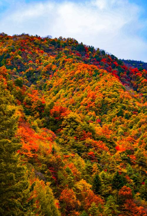 神农架旅游各景点介绍(神农架旅游景点介绍及景区简介)
