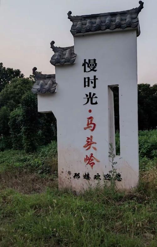 柘城天气预报未来40天的天气预报