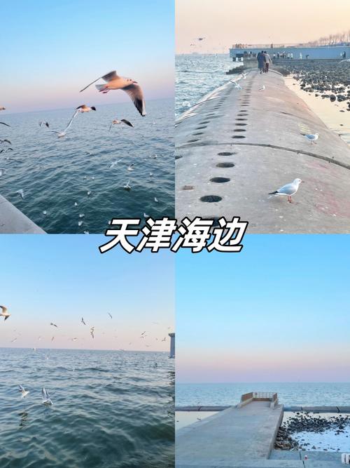 天津免费必去的前十海滩,天津海边旅游攻略