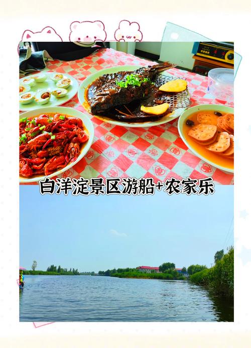 去白洋淀自驾游怎么玩?