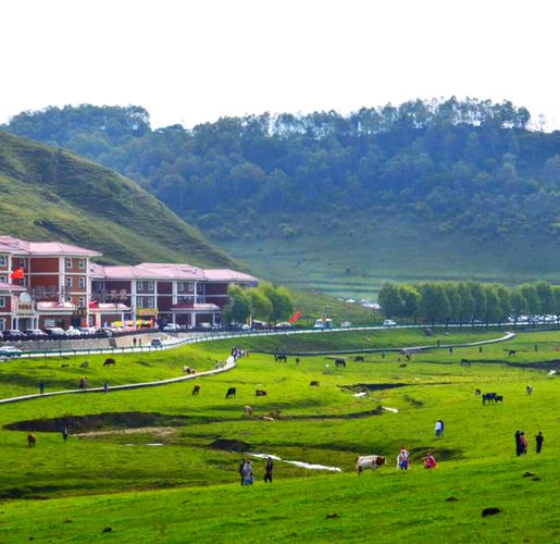 宝鸡关山牧场旅游攻略自驾,宝鸡关山牧场旅游攻略自驾路线