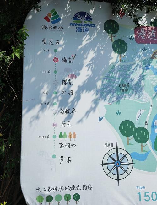 上海海湾国家森林公园景点介绍