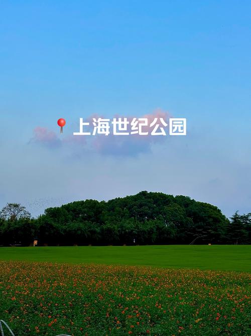 海湾国家森林公园攻略,海湾国家森林公园游记