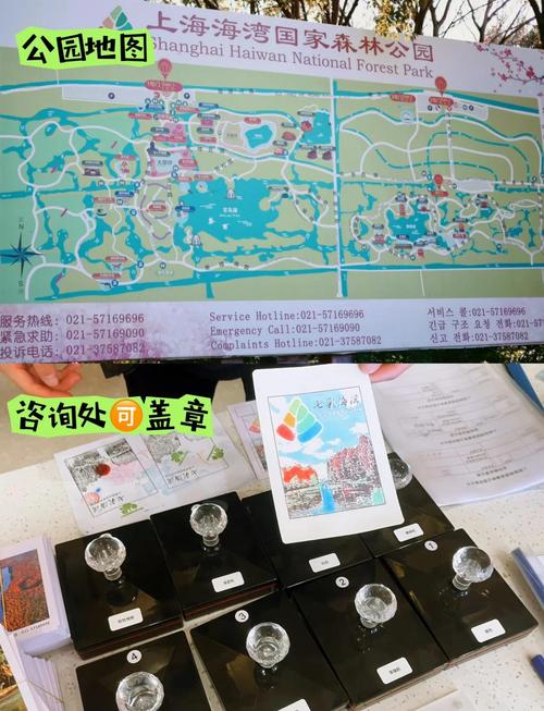参观上海光明海湾国家森林公园的指南是什么?