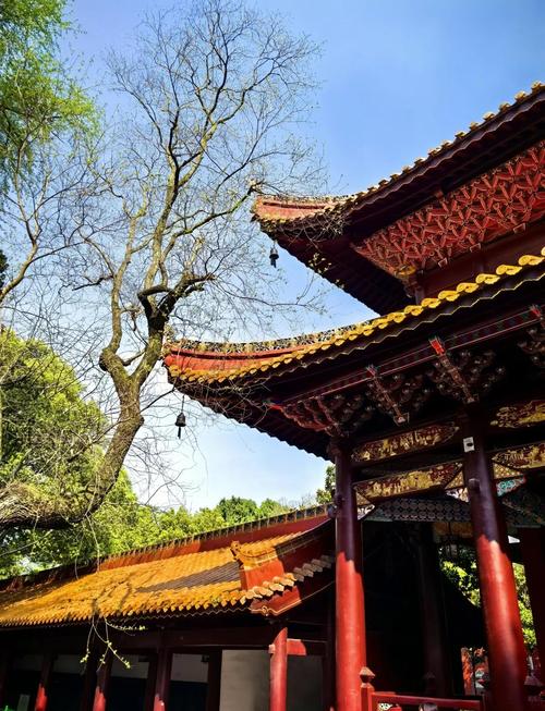 衡阳的哪些免费景区可以安利给游客?