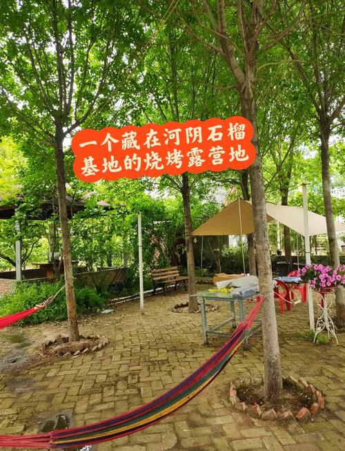 夏季去中牟露营打卡的攻略是什么?