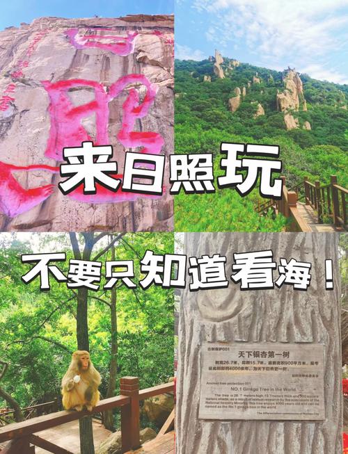 日照自驾游攻略??