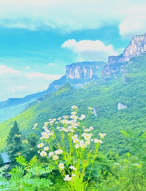 南川金佛山周边一日游最佳景点推荐