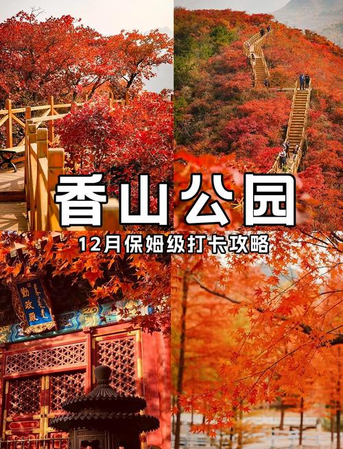 去北京香山公园怎么玩最方便