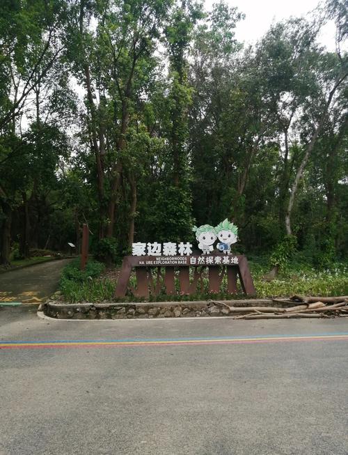 茂名森林公园一日游攻略2024