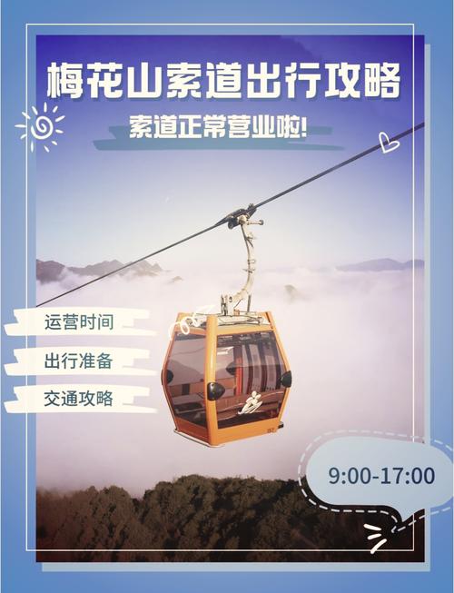 请问南京梅花山梅花大概什么时候开?现在开了吗?