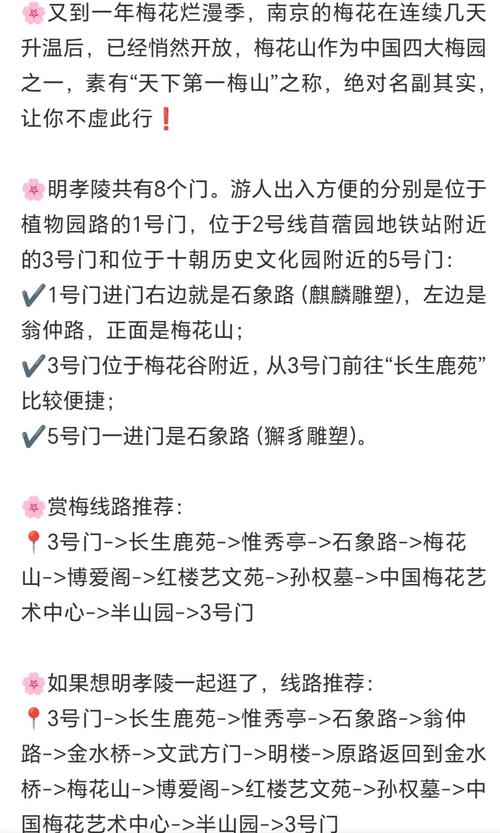 梅花山6点半前从哪个门进免票