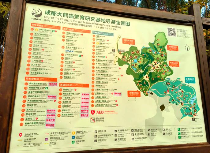 熊猫养殖基地游玩攻略