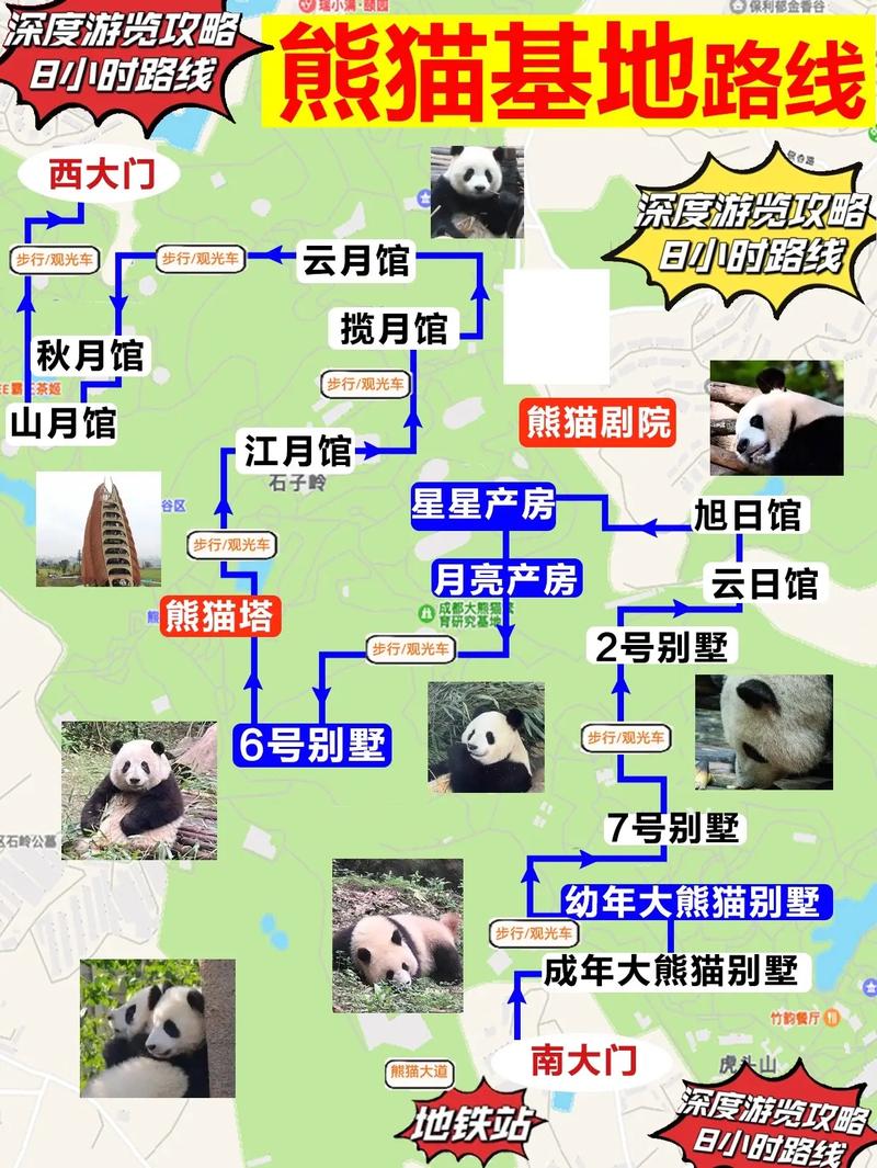 熊猫基地怎么玩