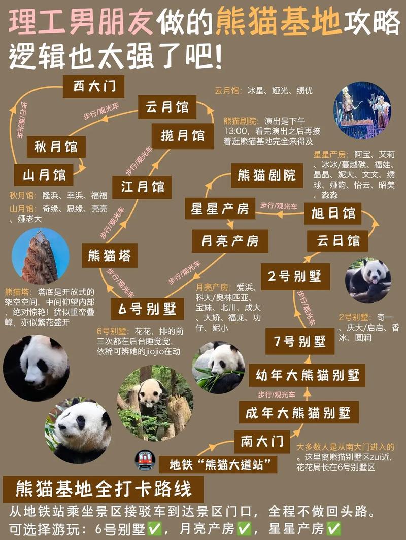 成都大熊猫繁育研究基地游玩攻略