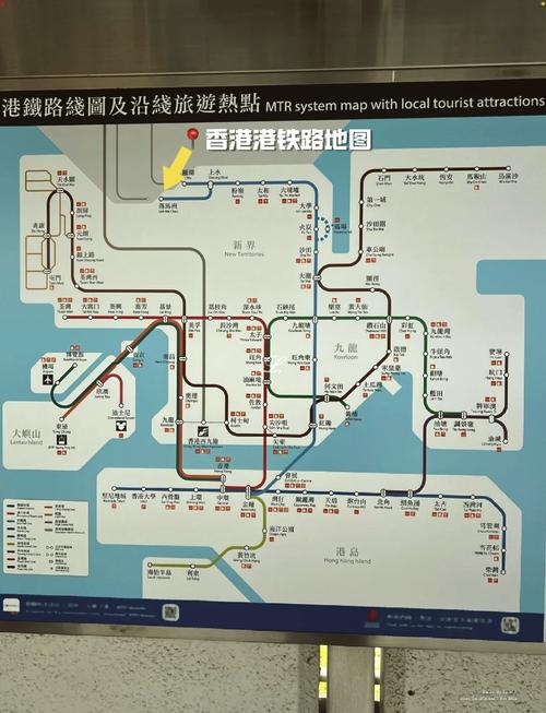 罗湖口岸出关去香港一日游攻略