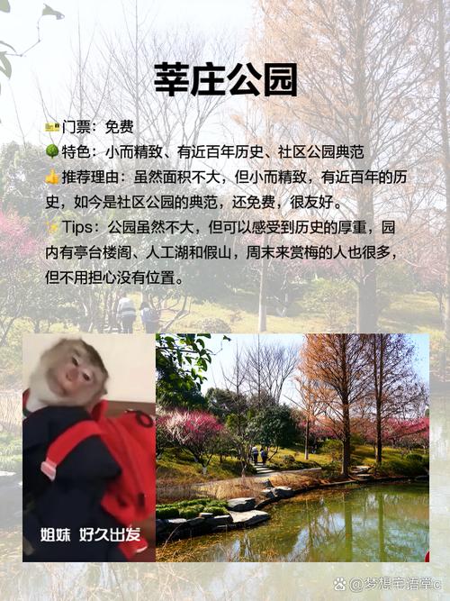 在上海莘庄镇自驾游,应该怎么玩?