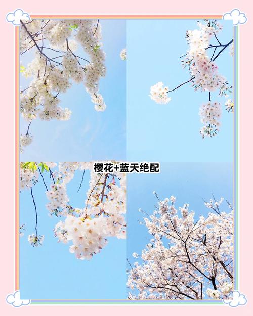 上海闵行区国庆节放假前几天的天气预报