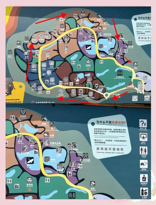 上海动物园游玩路线推荐,上海动物园攻略路线