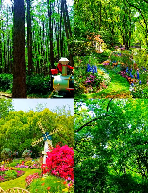 上海哪里枫树林啊