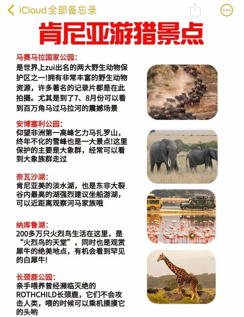 一个人去肯尼亚旅游攻略(一个人去肯尼亚旅行安全吗)