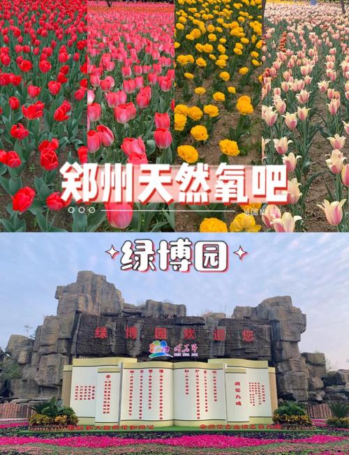 郑州绿博园有什么景点?