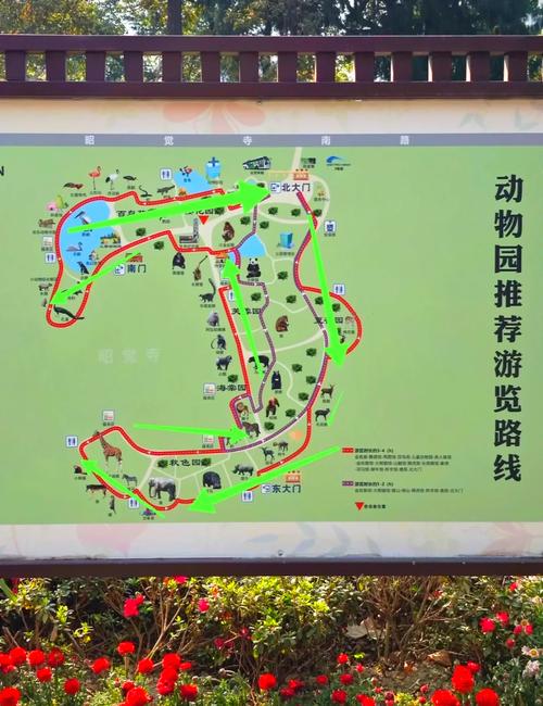 成都动物园怎么玩最省钱