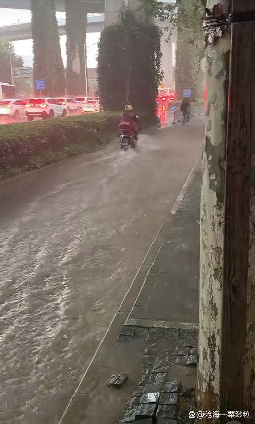 明日浦东新区的天气怎么样?会下雨吗?