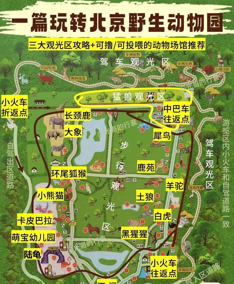 去北京野生动物园攻略