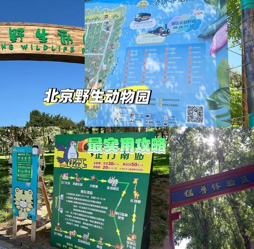 求北京野生动物园的游玩攻略
