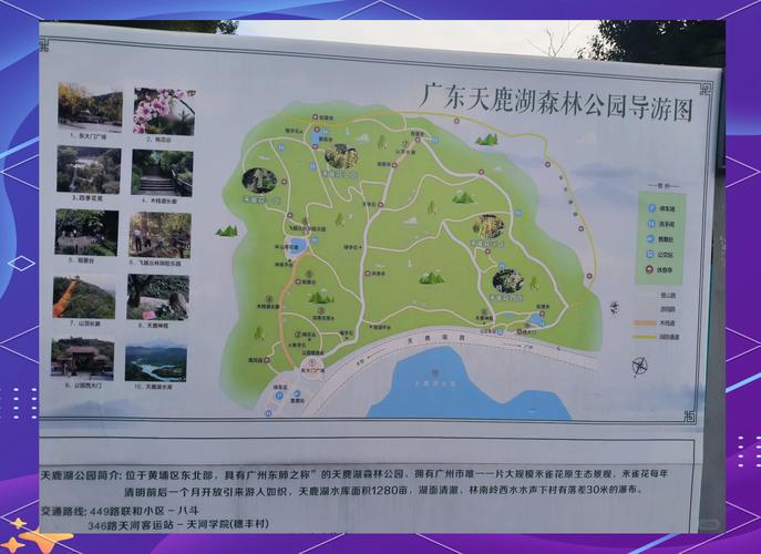 天鹿旅游生态园(天鹿森林公园)