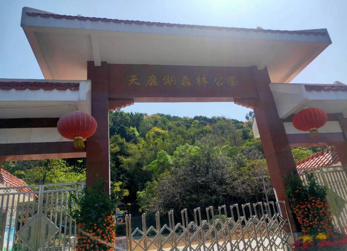 天鹿湖森林公园有什么景点