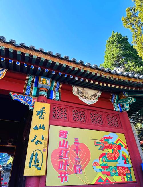 北京香山11月2日天气