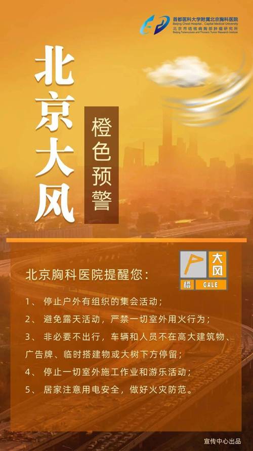 北京市应急办大风预警详情