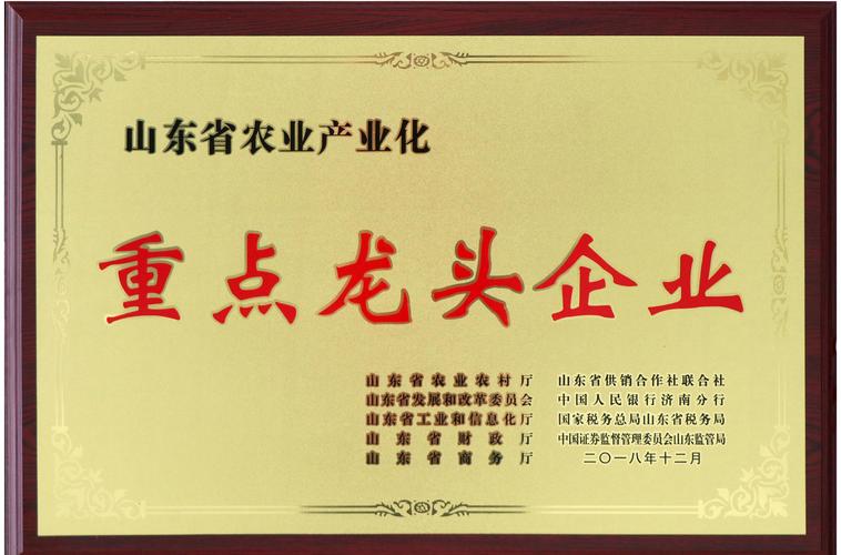 4.3日复盘——川普关税政策超预期,今年的行情,除了科技就靠内需了_百...