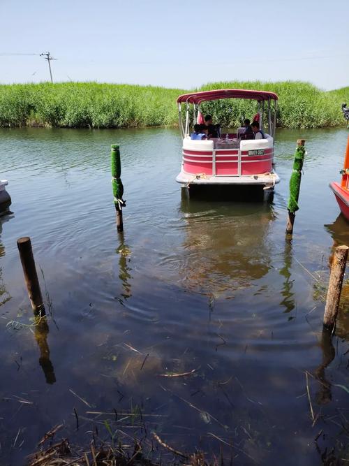 白洋淀自驾游攻略