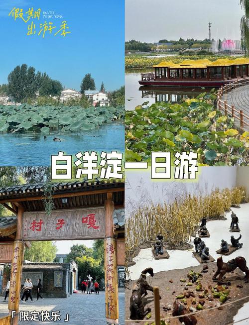 白洋淀旅游攻略自驾