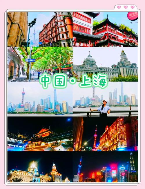 上海动物园一日游攻略