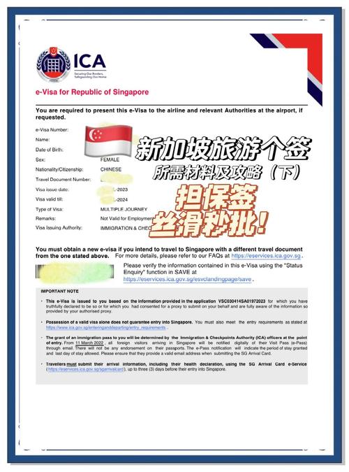 新加坡落地旅游签证(新加坡落地旅游签证怎么办理)