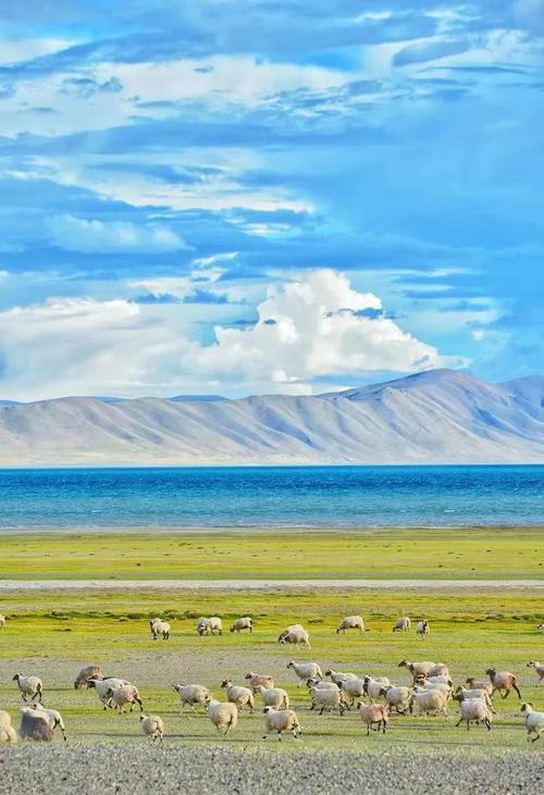 那曲有什么好玩的景点