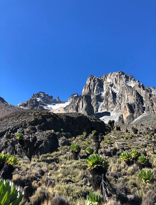 去肯尼亚自由行想看动物大迁徙,什么时候去比较好?求详细攻略介绍!