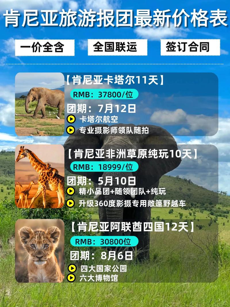 一个人去肯尼亚旅游攻略(一个人去肯尼亚旅行安全吗)