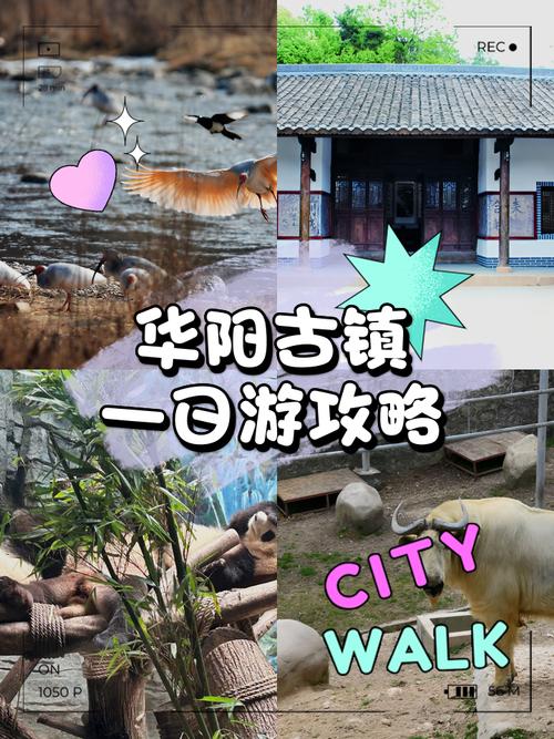 华阳古镇旅游攻略