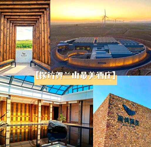 宁夏灵武西湖游记作文600字