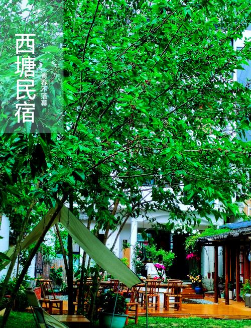 古镇西塘住一个晚上大概多少钱