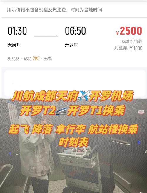 从中国到埃及有多远?