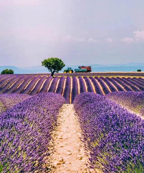 普罗旺斯旅游的主要花销在哪些方面?