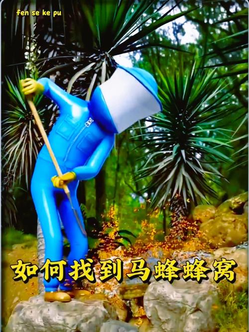 如何下载马蜂窝各城市攻略